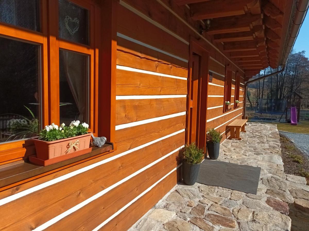 Apartmany U Vlcich Jam Petrovice u Sušice Zewnętrze zdjęcie